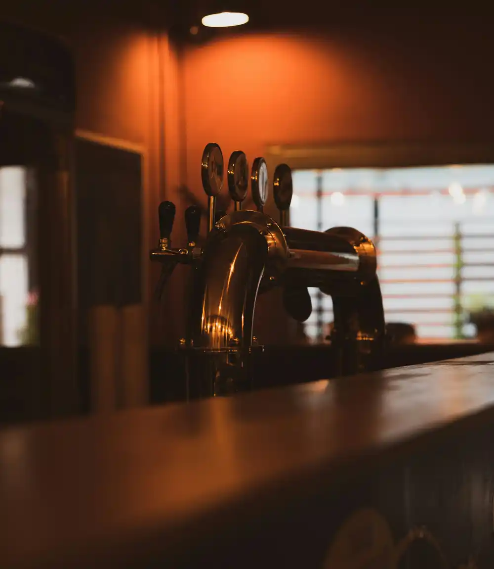 Le spine della birra allineate sul bancone di legno, nella luce ambrata del locale