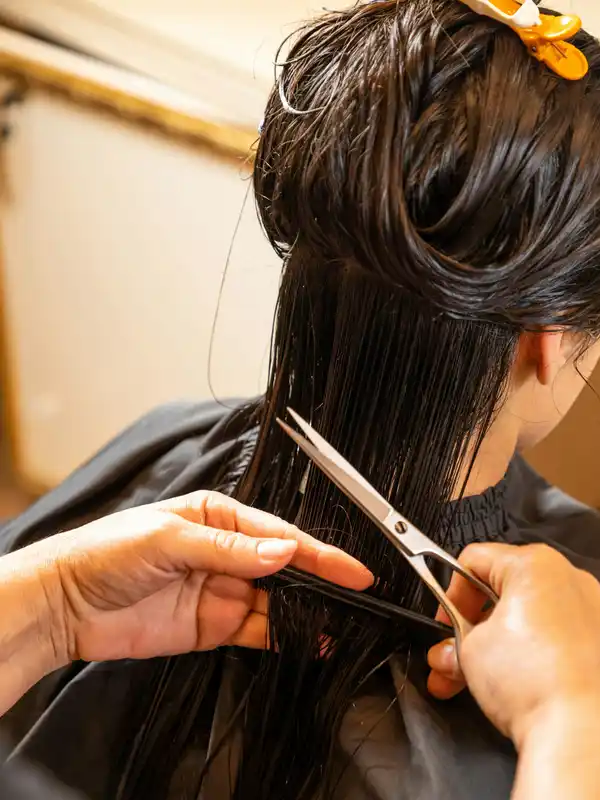 Le mani della parrucchiera che tagliano una ciocca di capelli bagnati, con le forbici e il pettine